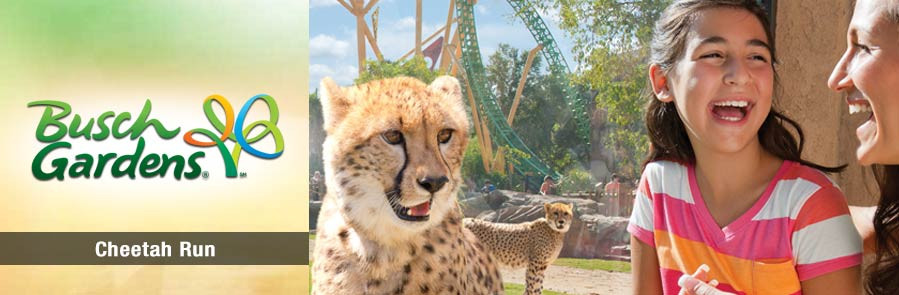 SeaWorld Orlando - Three Park Ticket - Acima de 3 anos "New Year Sale"